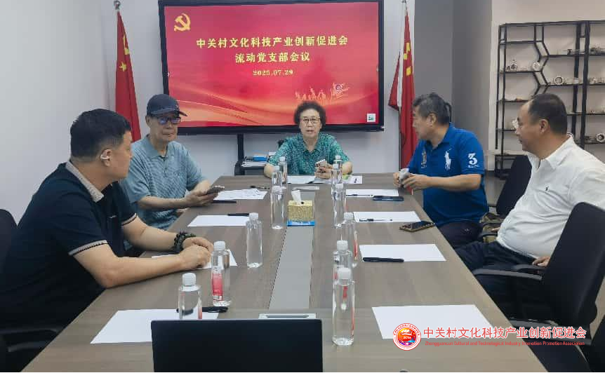 2025年7月29日召开支部会议上党课